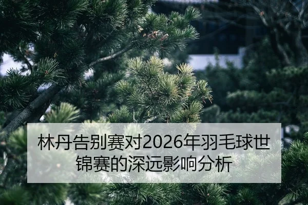 lin-dan-gao-bie-sai-dui-nian-yu-mao-qiu-shi-jin-sai-de-shen-yuan-ying-xiang-fen-xi-2-872.jpg