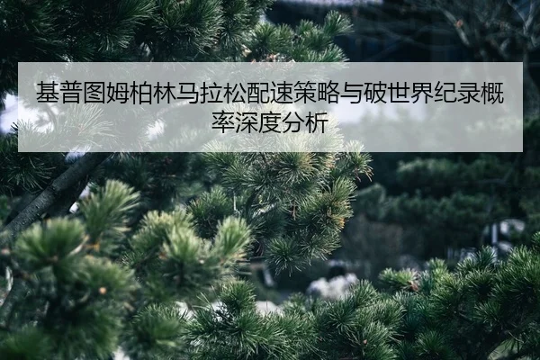 ji-pu-tu-mu-bo-lin-ma-la-song-pei-su-ce-lve-yu-po-shi-jie-ji-lu-gai-lv-shen-du-fen-xi-2-452.jpg