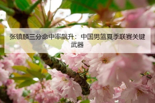 张镇麟三分命中率飙升：中国男篮夏季联赛关键武器